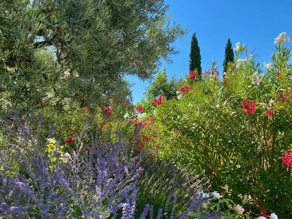 ベドアン Mas Des Olives Bed & Breakfast エクステリア 写真